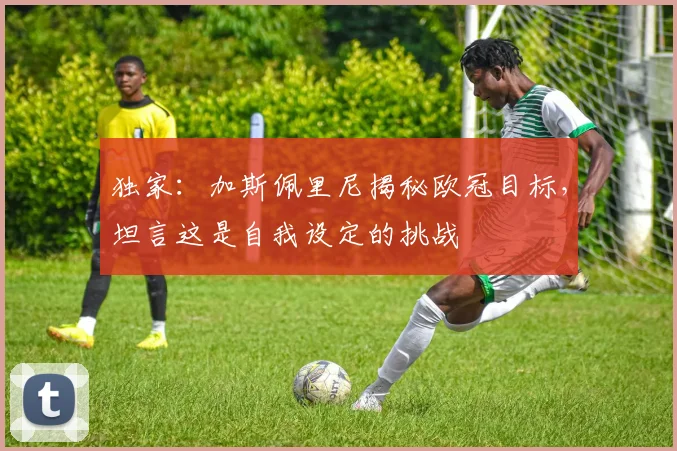 独家:加斯佩里尼揭秘欧冠目标,坦言这是自我设定的挑战